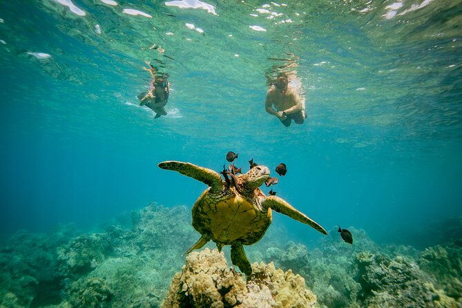 molokini-crater-and-turtle-town-snorkeling-from-kihei
