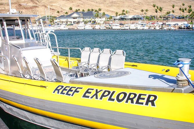 molokini-crater-zodiac-adventure-snorkel-and-turtle-cove-swim