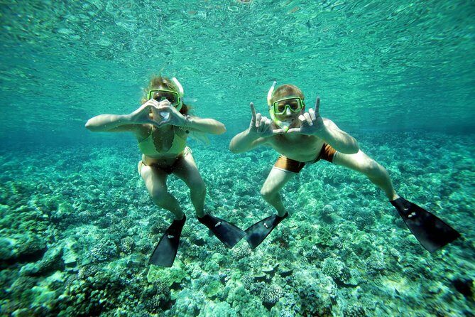 Molokini Snorkel and Performance Sail from Ma'alaea Harbor - Final Thoughts