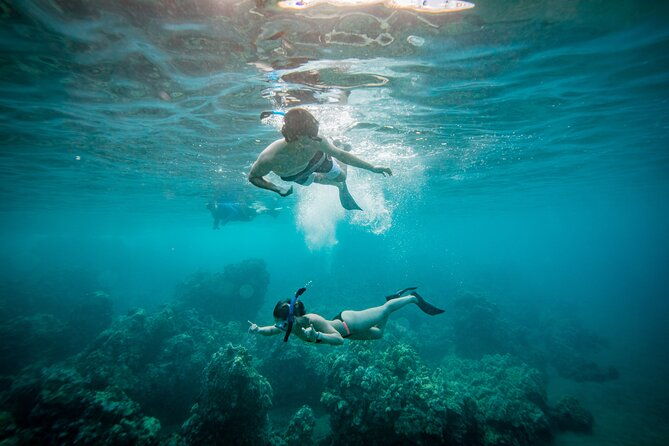 molokini-snorkel-whale-watching-from-kihei