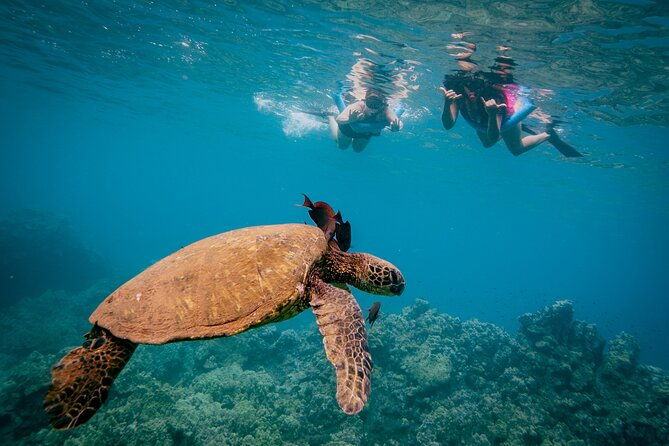 molokini-snorkel-whale-watching-from-kihei