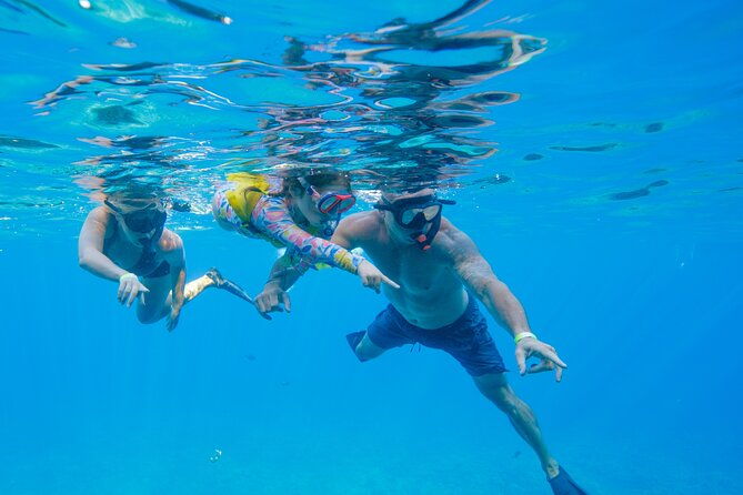 molokini-snorkel-whale-watching-from-kihei
