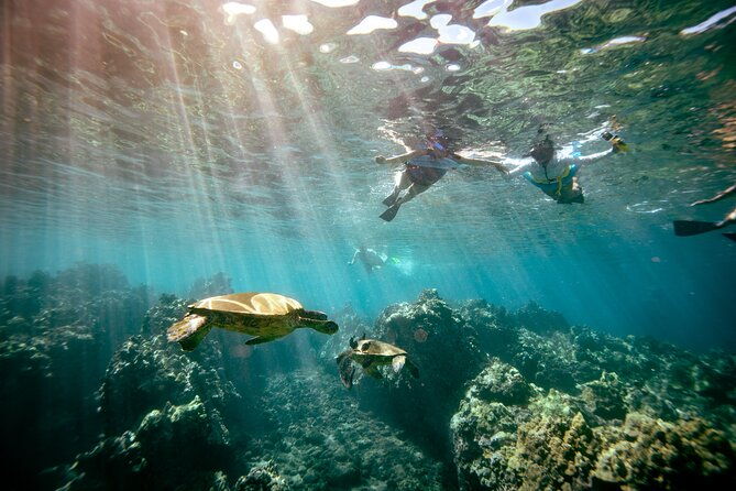 molokini-snorkel-whale-watching-from-kihei