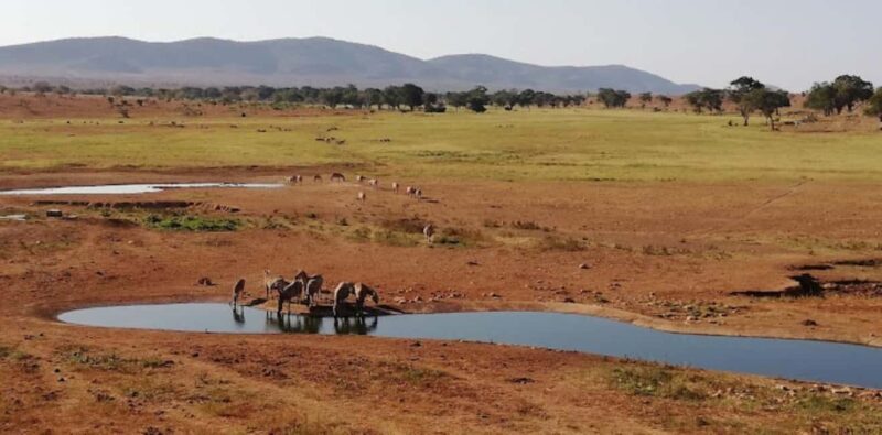 Mombasa: 2-Day Safari to Taita Hills Game Sanctuary - What to Know Before You Go