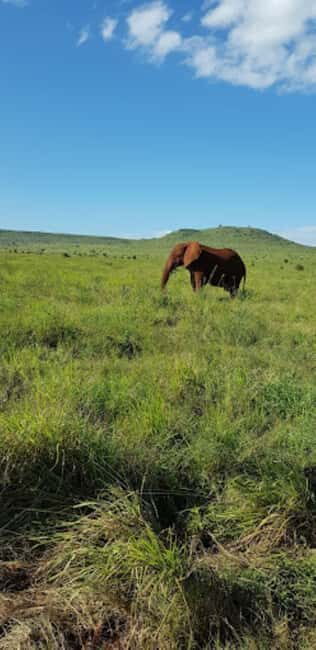 Mombasa: 2-Day Safari to Taita Hills Game Sanctuary - Authentic Experiences & Reviewer Insights