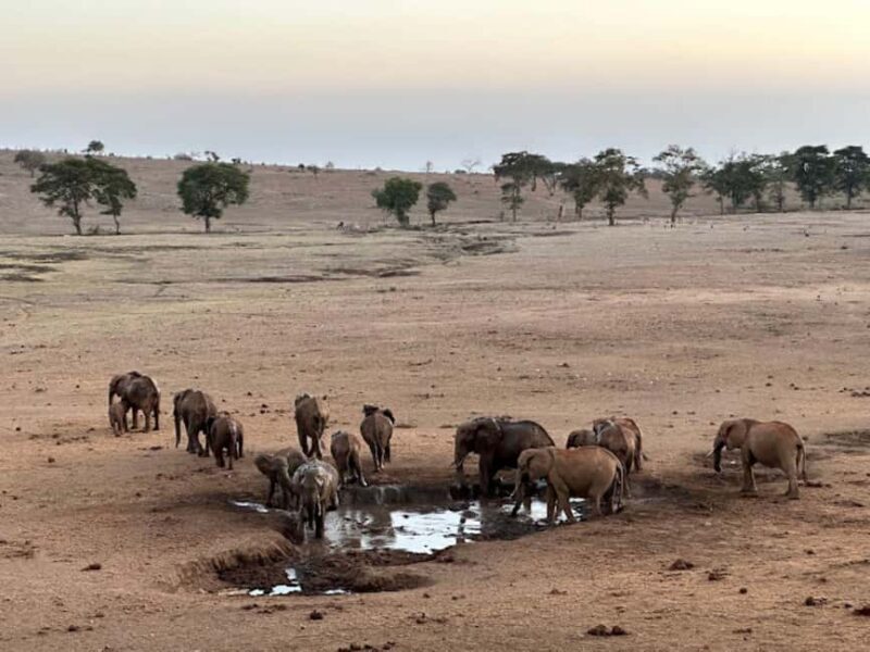Mombasa: 2-Day Safari to Taita Hills Game Sanctuary - Final Thoughts