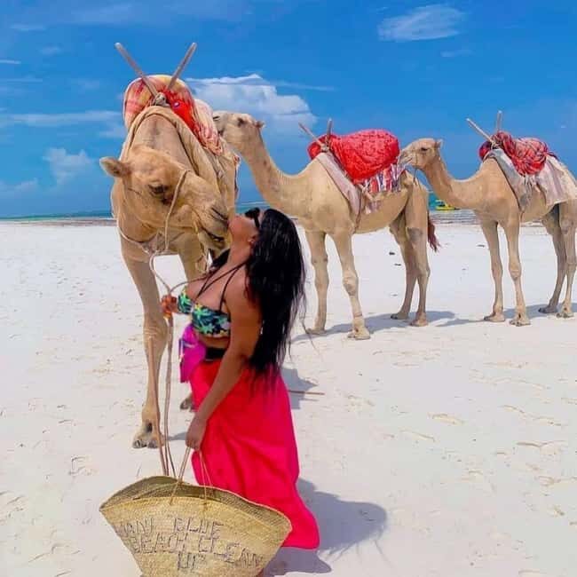 Mombasa: 3-Day Beach Tour with Haller Park Visit - Key Points