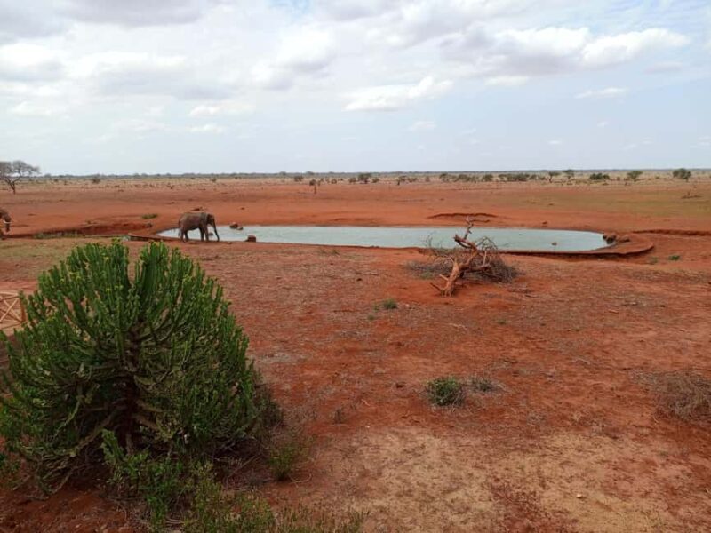 Mombasa: 3-Day Tsavo East and West Safari with Accommodation - Key Points