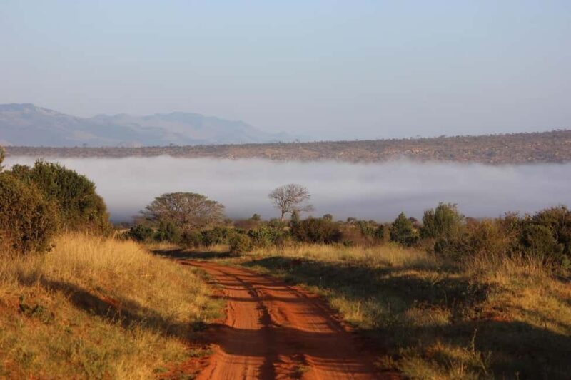 Mombasa: 3-Days 2-Nights Tsavo East and West Private Safari. - FAQs