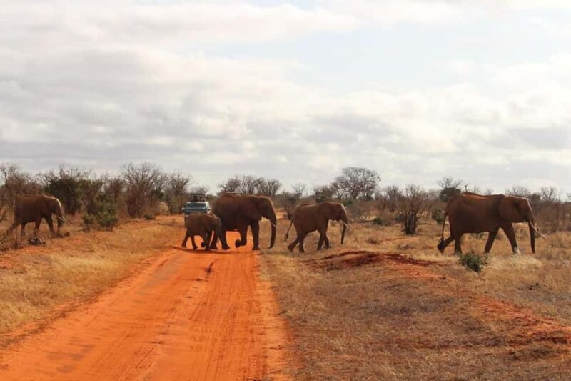 Mombasa: 4-Day Safari to Tsavo East, Tsavo West & Amboseli - What’s Included & What’s Not