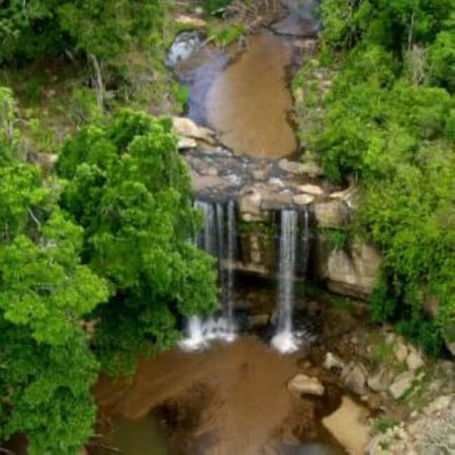 Mombasa: 4-Dayhoneymoon Tour at Diani Beach and Shimba Hills - Who Will Love This Tour?