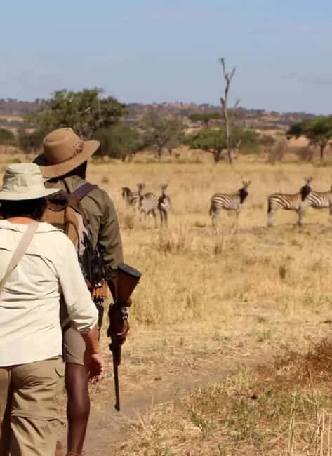 Mombasa: 6-Day Tsavo West, Tsavo East, and Amboseli Safari - Key Points