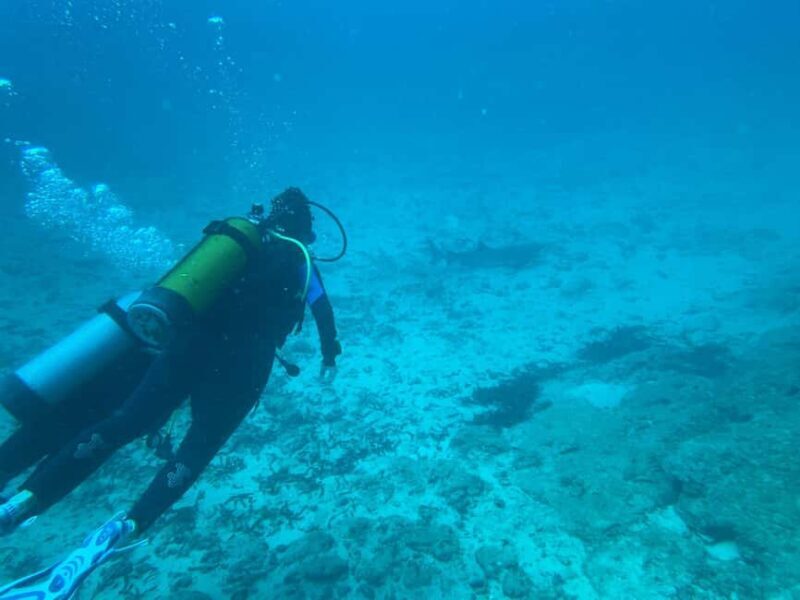 Mombasa: Discover Scuba Diving Experience with PADI Guide - The Included and Not Included Elements