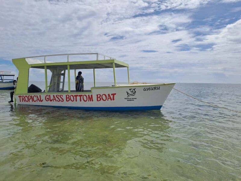 Mombasa: Discover Scuba Diving Experience with PADI Guide - Practical Details to Keep in Mind