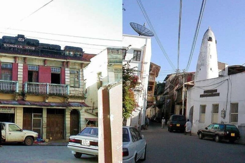 Mombasa: Discovery Day Tour and Haller Park - Authentic Experiences and Practical Tips