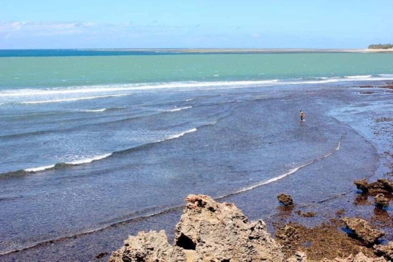 Mombasa: Full Day Private Tour and Excursions - An In-Depth Look at the Tour Itinerary