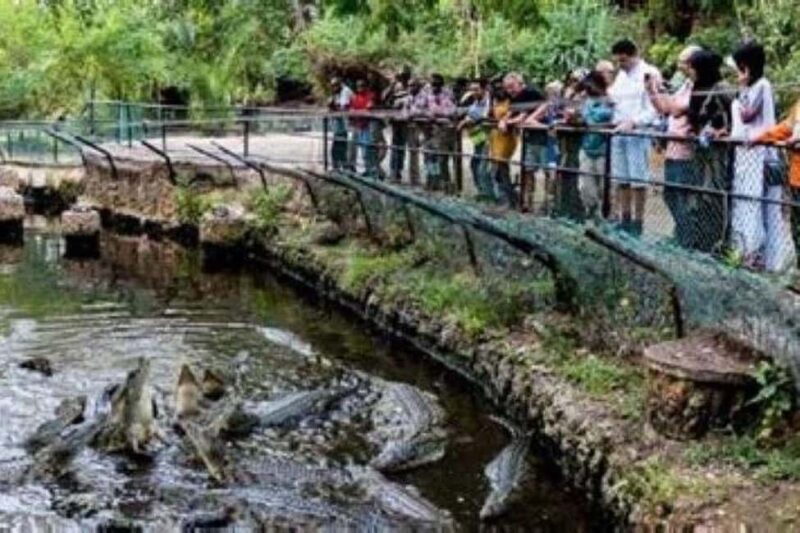 Mombasa Full Day Tour and Excursions - FAQs
