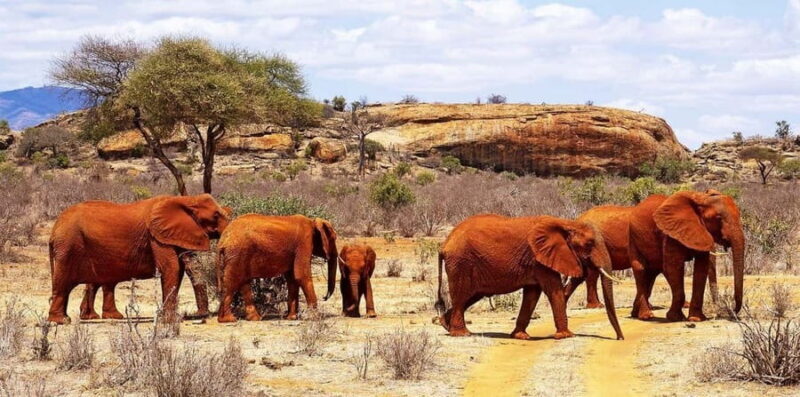 Mombasa: Overnight Safari to Tsavo East From Diani Beach - FAQs