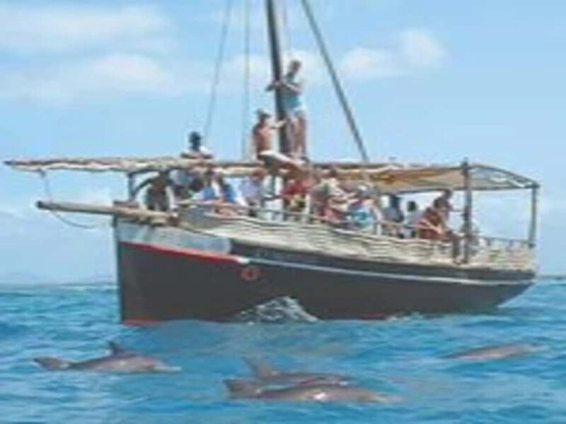 Mombasa: Snorkeling, Dolphin watching, seafood lunch. - Key Points