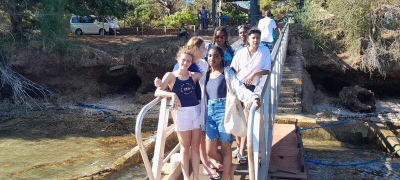 Mombasa: Snorkeling, Dolphin watching, seafood lunch. - Authentic Insights from Past Travelers