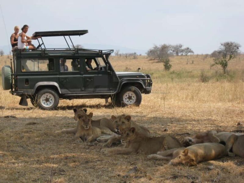 Mombasa: Tsavo East National Park Day Tour - FAQ