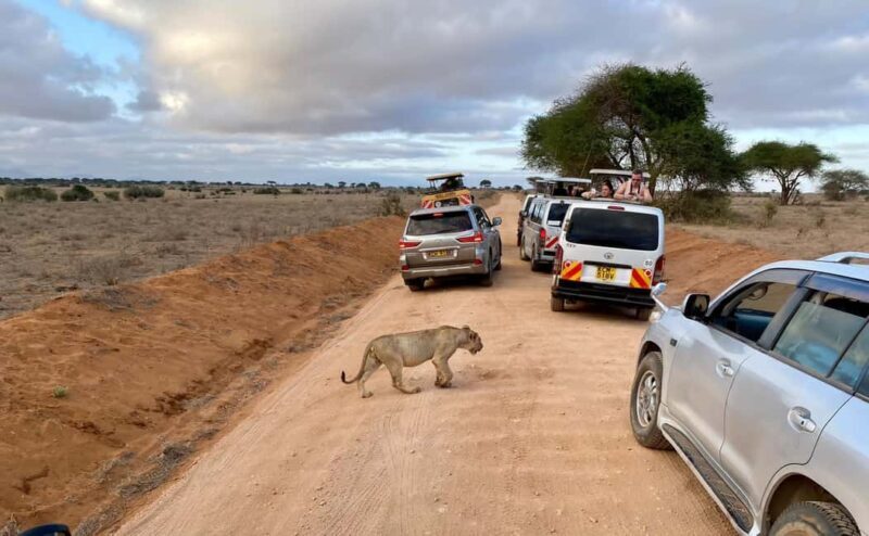 Mombasa: Tsavo East Ngutuni Sanctuary Overnight Safari - An Inside Look at the Itinerary and Experience