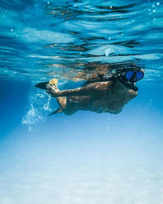 Mombasa: Wasini Dolphin Tour - The Sum Up: Who is this Tour Best For?
