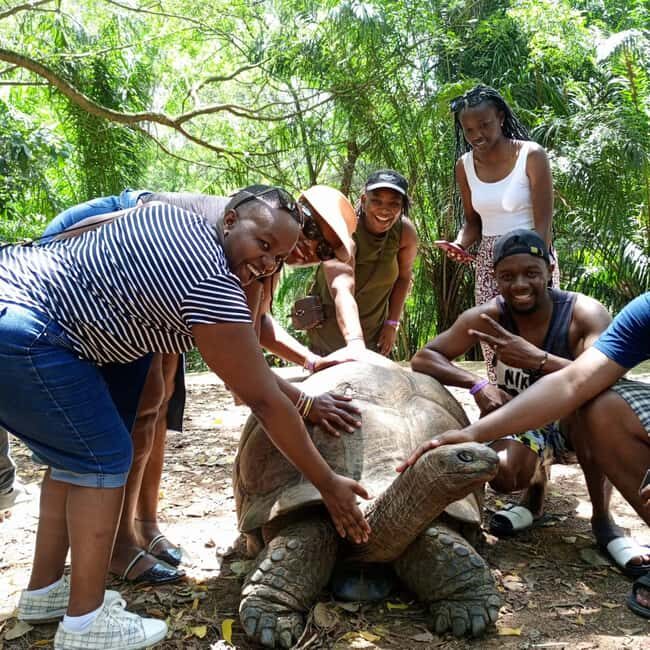 MOMBASA:FortJesus,OldCity,GiraffeOstrich,Oryx,Eland,WildTour - Authentic Experiences & Honest Insights