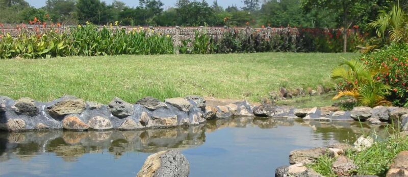 Mombasa:Private Guided City Tour - Wildlife and Nature Experiences