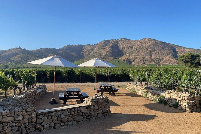 moment-premium-tasting-tour