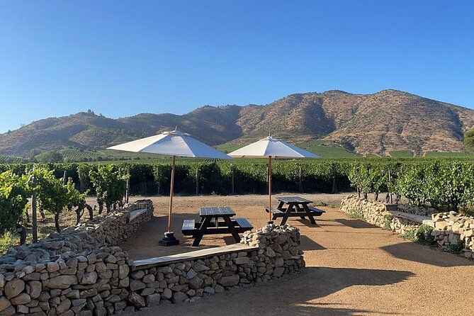 moment-tour-tasting-icon