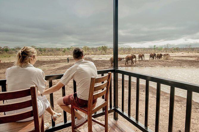 Moments with Elephants - The Sum Up