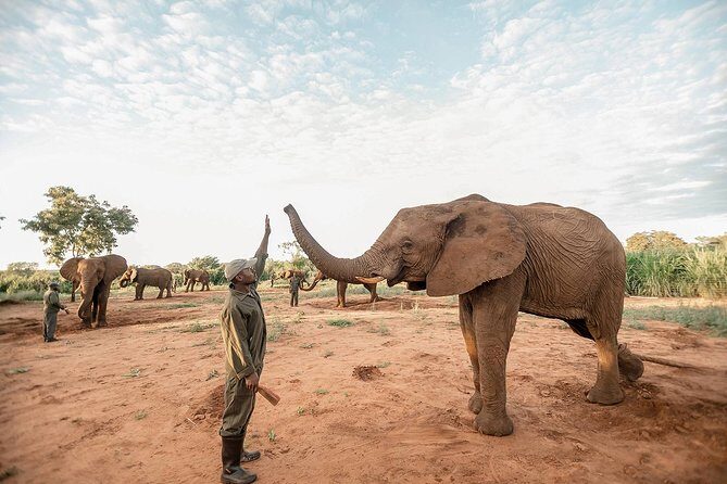 Moments with Elephants - FAQs