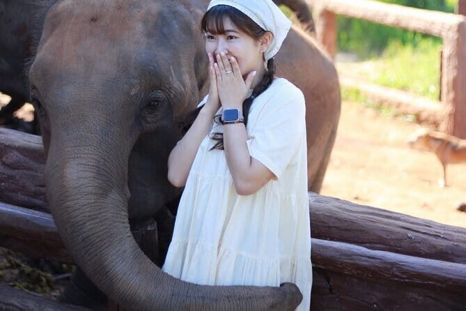 Mon Jam, Elefin Café, and Cypress Lane Chiang Mai - Final Thoughts