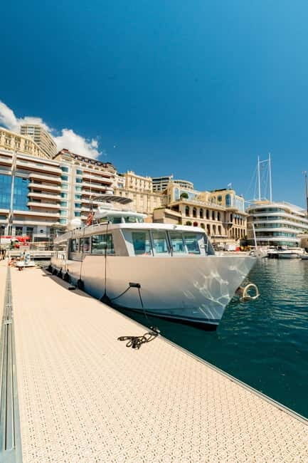 Monaco : Cetacean Watching Boat Cruise - A Detailed Breakdown of the Cetacean Watching Experience