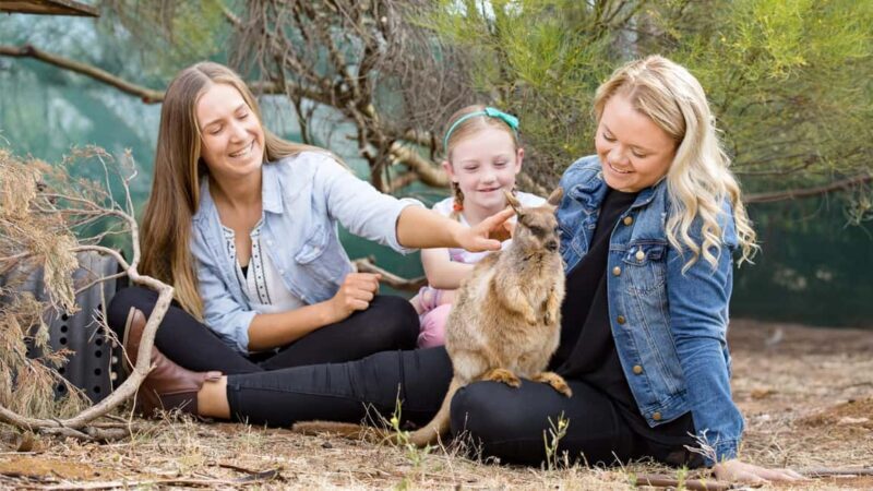 Monarto Safari Park: A Devilish Native Experience - Key Points