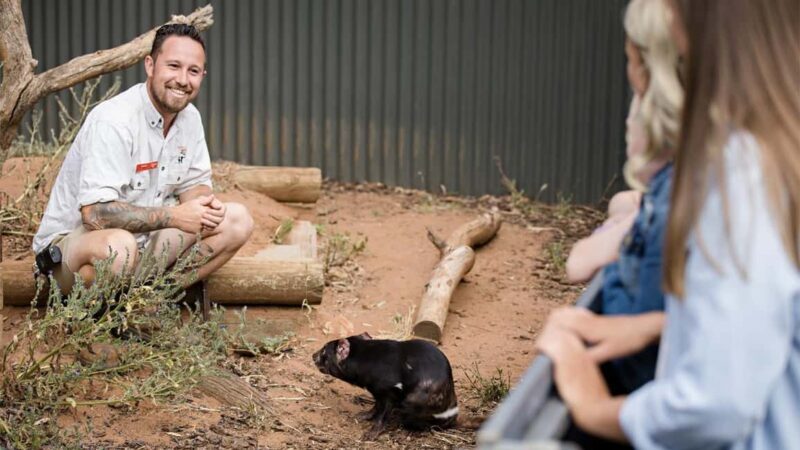 Monarto Safari Park: A Devilish Native Experience - An Honest Look at Monarto Safari Park’s Native Experience