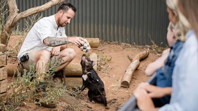 Monarto Safari Park: A Devilish Native Experience - Final Thoughts
