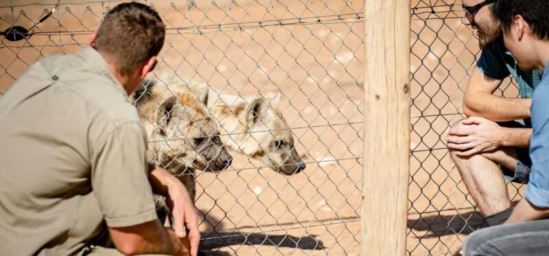 Monarto Safari Park: Keeper for a Day - Key Points