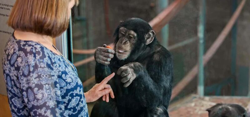 Monarto Safari Park: Keeper for a Day - An In-Depth Look at the Experience