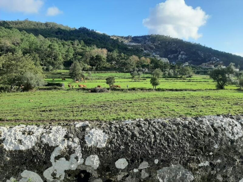 monchique-silves-guided-day-trip