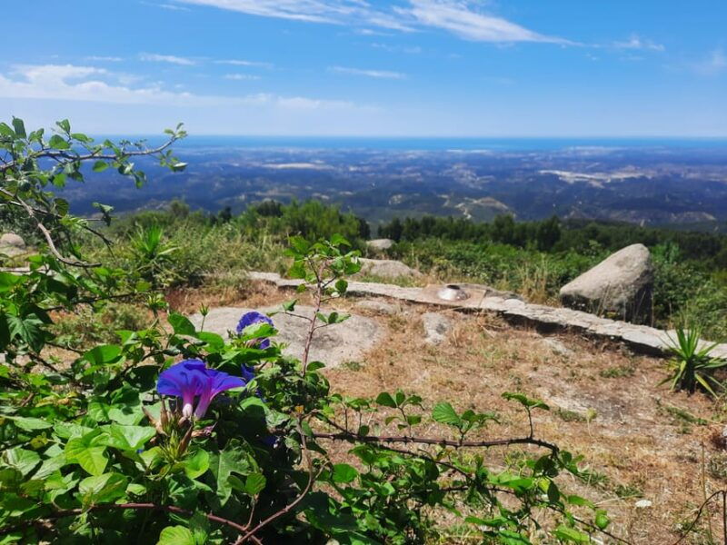 monchique-silves-guided-day-trip