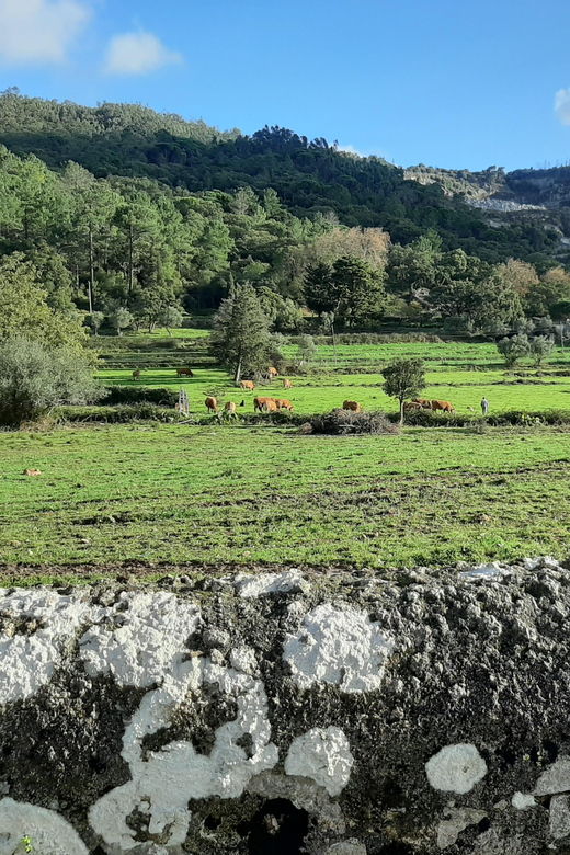 monchique-silves-guided-day-trip