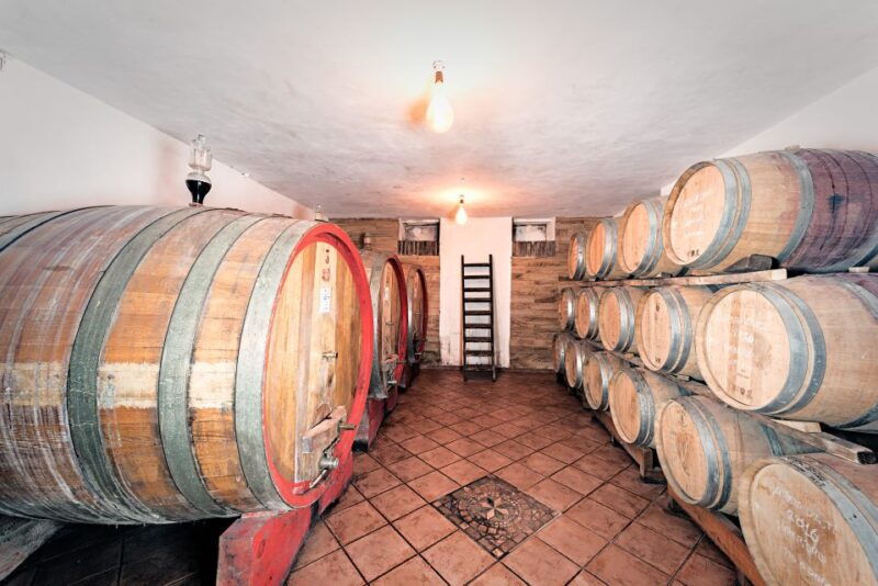 monferrato-barbera-wine-tasting-experience