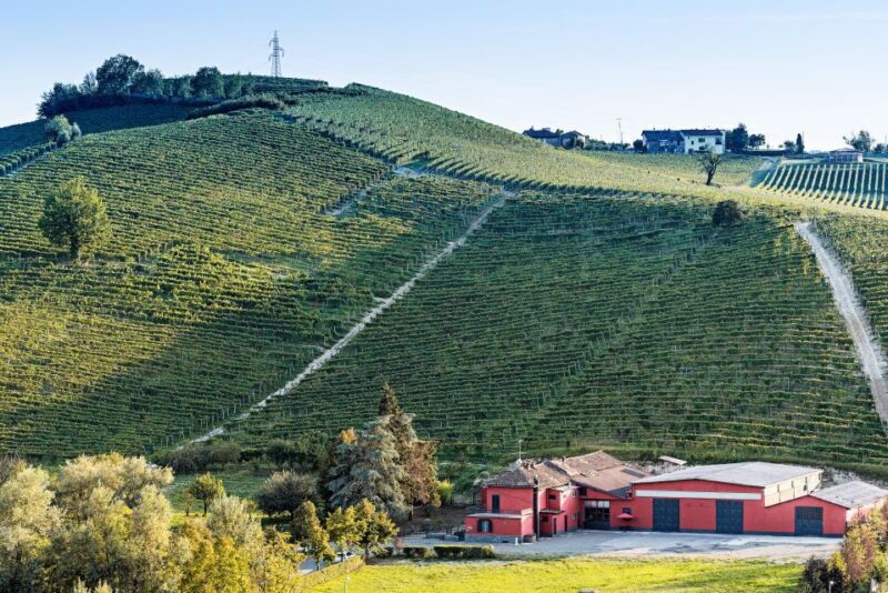 monferrato-barbera-wine-tasting-experience
