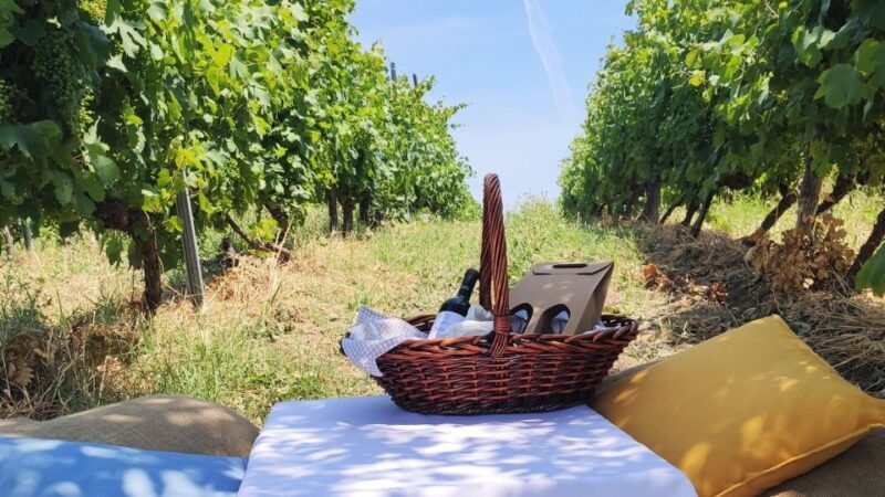 monferrato-garetto-wine-estate-tour-and-picnic-private