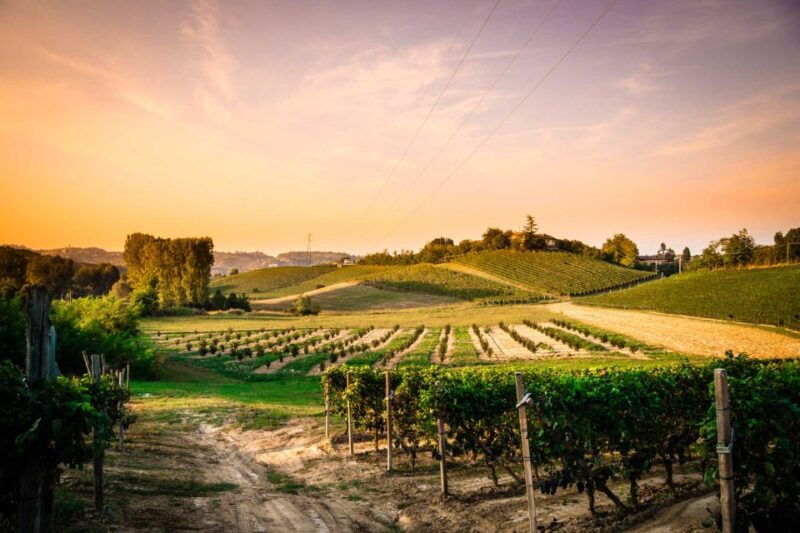 monferrato-garetto-wine-estate-tour-and-picnic-private