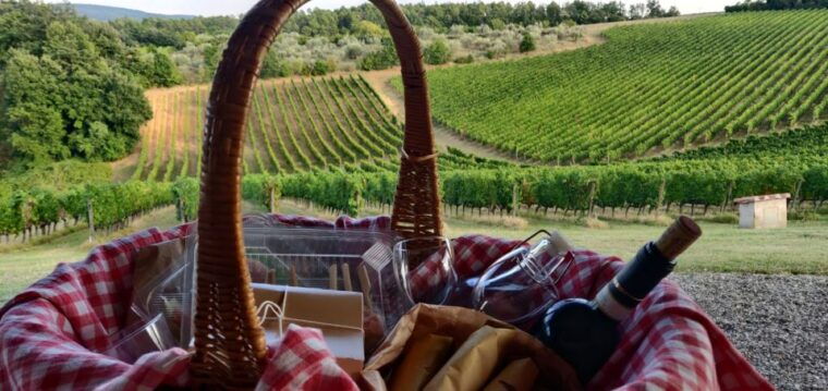 monferrato-garetto-wine-estate-tour-and-picnic-private