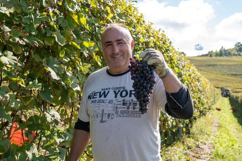 Monforte d'Alba: 7 glasses of Langhe with visit to Winery and Vineyards - Monforte dAlba: 7 Glasses of Langhe with Visit to Winery and Vineyards – A Complete Review
