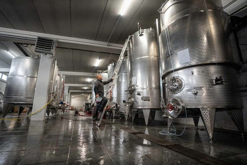 Monforte d'Alba: 7 glasses of Langhe with visit to Winery and Vineyards - A Peek into Tradition and Innovation